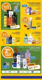Trekpleister folder week 43 Pagina 10: 1+1 GRATIS Syoss, Gliss, Schauma, Taft en got2b +gratis toiletblok spaar Elvive en