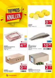 Transgourmet Flugblatt woche 44 Seite 4: MSC Kap Seehechtfilet €10,99, Economy Pizzasalami Geschnitten €4,99