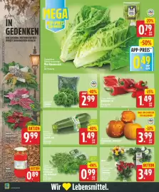 Edeka DE folder week 43 Pagina 4