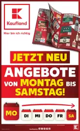 Kaufland DE folder week 43 Pagina 65