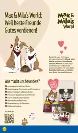 Lidl Prospekt Seite 26