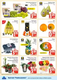 Marktkauf Prospekt Seite 6