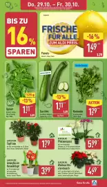 Aldi Nord Prospekt woche 44 Seite 32: Zucchini €1,11, Pomelo €1,49