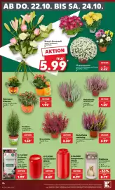 Kaufland Prospekt woche 43 Seite 50