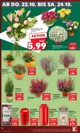 Kaufland Prospekt woche 43 Seite 50