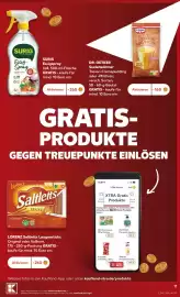 Kaufland Prospekt woche 43 Seite 15