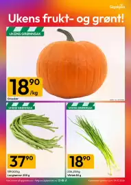 Gigaboks kundeavis uke 43 Side 11: Gresskar €18,90, Vårløk 80 g €18,90