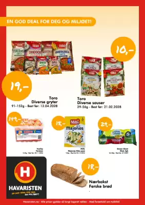 Havaristen (gyldig til 24-10)