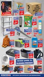 CENTERSHOP Prospekt woche 43 Seite 20: ROX Scheibenfrostschutz €3,99, Kartoffel-Vorratsbox €6,66