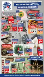 CENTERSHOP Prospekt woche 43 Seite 1: DORATEX Benzin Strom-Generator „Professional“ €199,99, Grabstrauss Nordmann €7,99