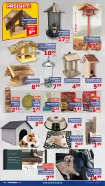 CENTERSHOP Prospekt woche 43 Seite 10: Bird's Best Energie Fettfutter €1,49, Meisenknödel €1,29
