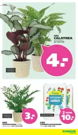 Ranzijn folder Pagina 3: Ranzun potgrond voor kamerplanten €10,00, Vleugelvaren pteris €3,99