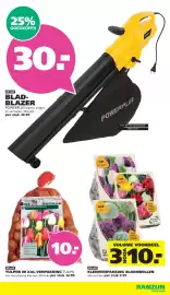 Ranzijn folder Pagina 4: Flower my life kleinverpakking bloembollen €10,00, Raltus tulpen in xxl-verpakking tulipa €10,00