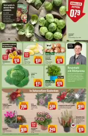 REWE Center Prospekt woche 43 Seite 11