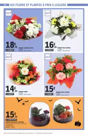 Catalogue E.Leclerc | Nos promos du moment page 42: LE BOUQUET €14,50, Quartier Fleurs BOUQUET BULLE COCOON €15,00