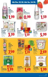 Lidl Flugblatt woche 43 Seite 15