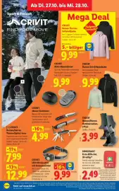 Lidl Flugblatt woche 43 Seite 37