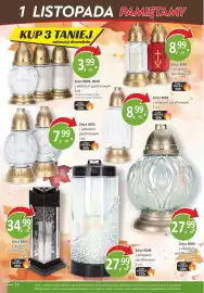 Orzech gazetka Strona 14: Znicz €3,99, Znicz 3005 €8,99