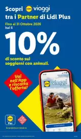 Volantino Lidl | Piccoli Prezzi Pagina 52
