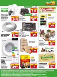 Herkules Baumarkt Prospekt woche 43 Seite 12: BUCHENHOLZ BRIKETTS €3,99, Strohmehl €12,99