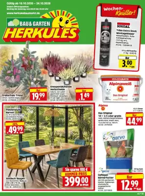 Herkules Baumarkt (gültig bis 24-10)