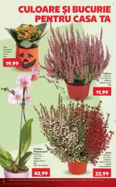 Catalog Kaufland săptămâna 43 Pagină 16