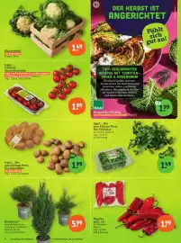 Tegut Prospekt woche 43 Seite 6: Tegut... Bio Bio-Feldsalat €1,49, Blumenkohl €1,49