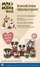 Lidl gazetka tydzień 43 Strona 32