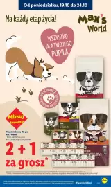 Lidl gazetka tydzień 43 Strona 33