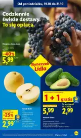 Lidl gazetka tydzień 43 Strona 39
