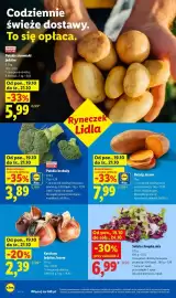 Lidl gazetka tydzień 43 Strona 40: Sałata chrupka mix €6,99