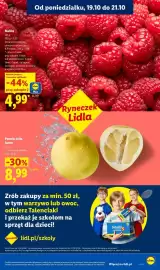Lidl gazetka tydzień 43 Strona 41