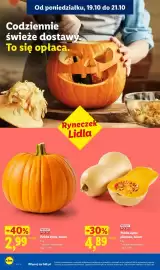 Lidl gazetka tydzień 43 Strona 42