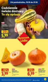 Lidl gazetka tydzień 43 Strona 43
