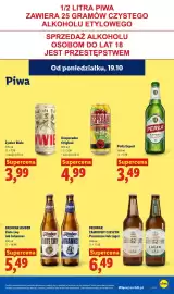 Lidl gazetka tydzień 43 Strona 87
