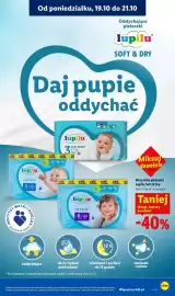 Lidl gazetka tydzień 43 Strona 91