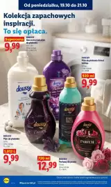 Lidl gazetka tydzień 43 Strona 96
