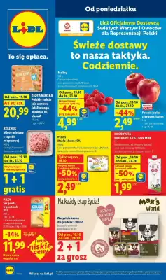 Lidl (ważność do 24-10)