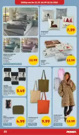 PENNY Flugblatt woche 43 Seite 25: DEKOKISSEN* €7,99, Kuschel-Decke* €12,99