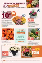 Catalogue Jardiland page 2