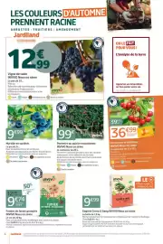 Catalogue Jardiland page 6