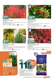 Catalogue Jardiland page 7