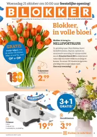 Blokker folder Pagina 2: Kunstbloemen €3,99, Friteuse €19,99