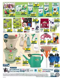Pick n Pay Hypermarket catalogue Page 4: Starke Ayres Flower or Vegetable Seed Pack €24,99