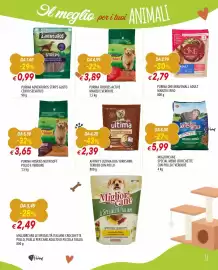 Volantino IperFamila Pagina 11