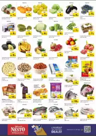 Nesto catalogue Page 2