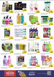 Nesto catalogue Page 4