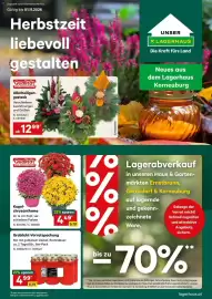 Lagerhaus Flugblatt Seite 1: Grablicht-Vorratspackung €4,99, Kugelchrysantheme €4,49