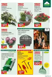 Lagerhaus Flugblatt Seite 3: Grabschale €19,99, Chrysantheme 3 Baller €3,99