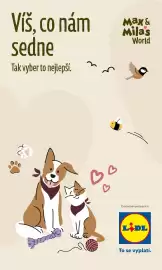 Lidl leták Strana 17
